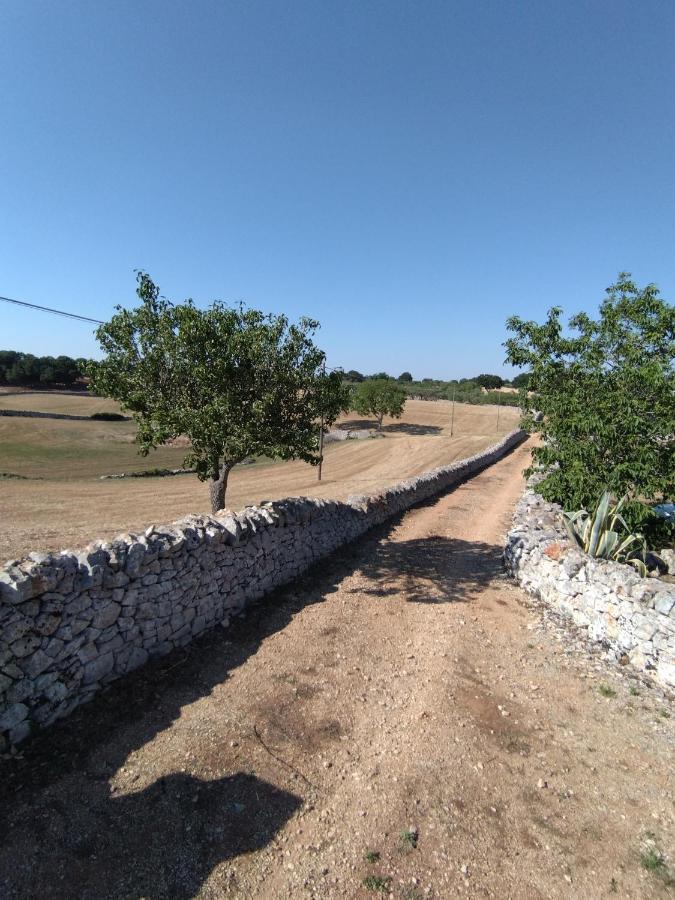 Masseria Catucci Agriturismo Alberobello Eksteriør billede