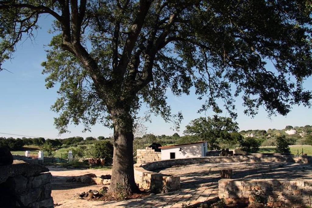Masseria Catucci Agriturismo Alberobello Eksteriør billede